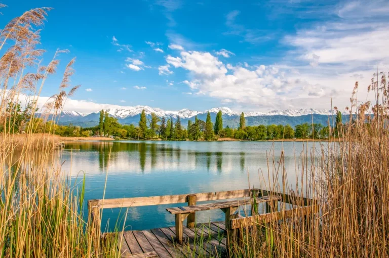 decouvrir lac aiguebelette camping savoie